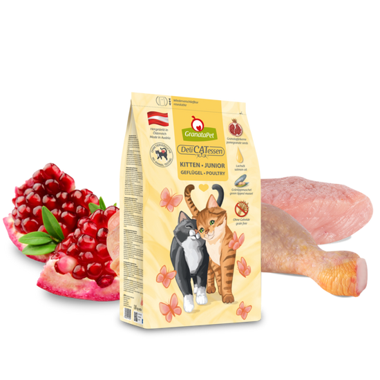 GranataPet DeliCatessen száraztáp Kitten szárnyas 300 g